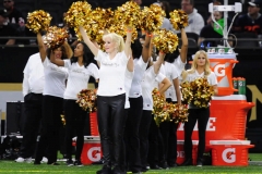 New Orleans Saints 2017