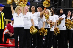 New Orleans Saints 2017