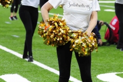 New Orleans Saints 2017