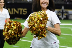 New Orleans Saints 2017