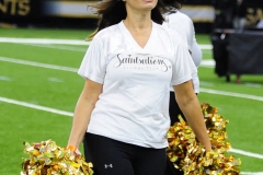 New Orleans Saints 2017