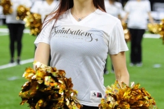 New Orleans Saints 2017