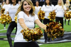 New Orleans Saints 2017