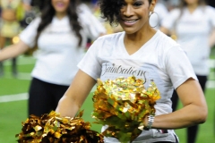 New Orleans Saints 2017