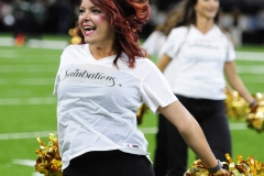 New Orleans Saints 2017