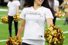 New Orleans Saints 2017