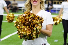 New Orleans Saints 2017