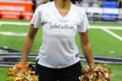 New Orleans Saints 2017