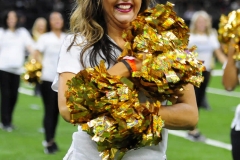 New Orleans Saints 2017