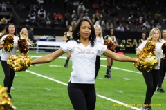 New Orleans Saints 2017