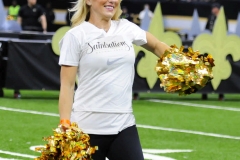 New Orleans Saints 2017