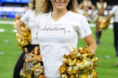 New Orleans Saints 2017