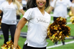 New Orleans Saints 2017