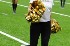 New Orleans Saints 2017