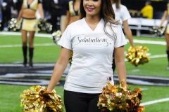 New Orleans Saints 2017