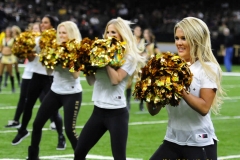 New Orleans Saints 2017