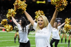 New Orleans Saints 2017