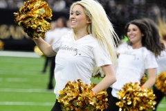 New Orleans Saints 2017